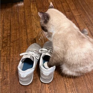 Meet your Posher, Marissa